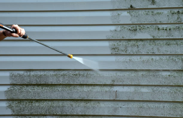 Best Residential Mold Removal  in Bunker Hl, IL