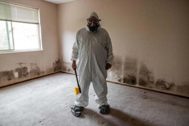 Best Residential Mold Removal  in Bunker Hl, IL